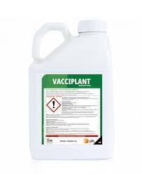 VACCIPLANT LT 1 REG 15831