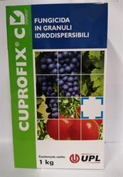 CUPROFIX C DISPERSS KG 1 REG.11637