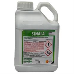 SINALA LT 5 REG 18119